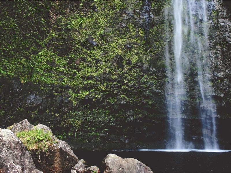 cookies screenshot 4