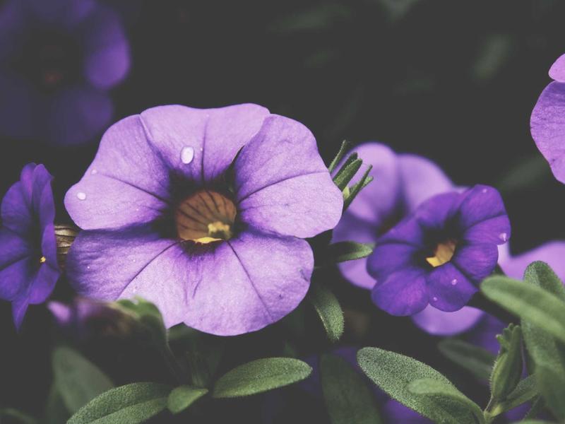 sudoku jigsaw puzzle screenshot 2